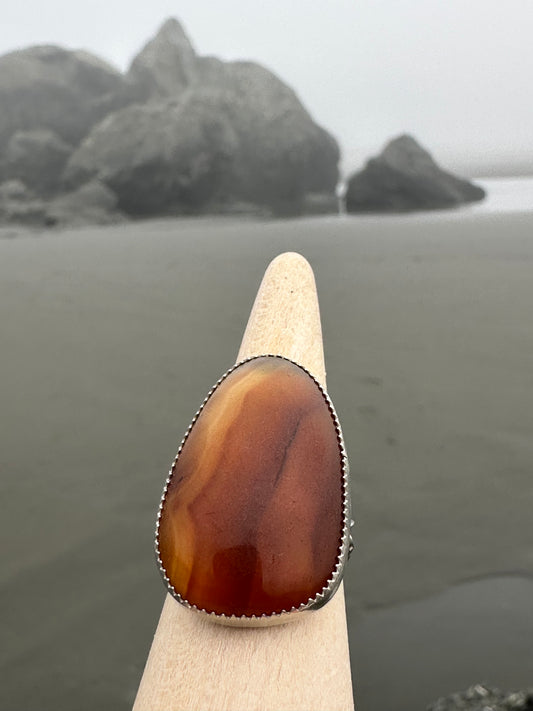 Striped Yellowstone River Agatized Wood cabochon, size 8.5