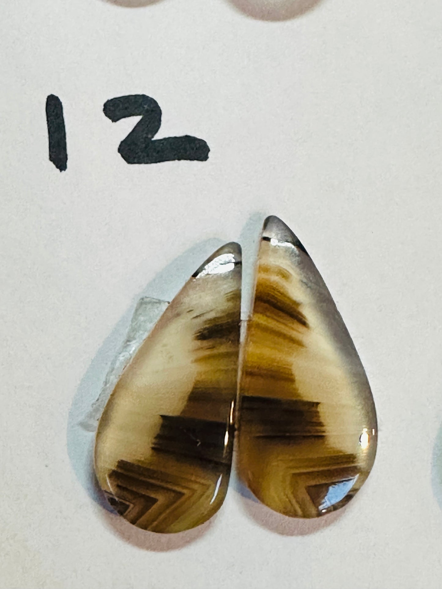 Yellowstone River Agate Earrings, Hand Made to Order, sterling silver