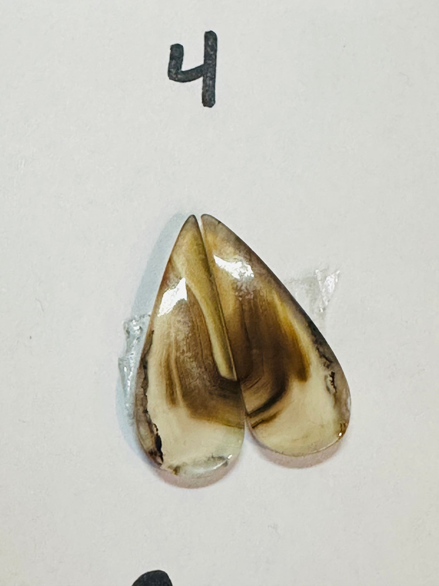 Yellowstone River Agate Earrings, Hand Made to Order, sterling silver