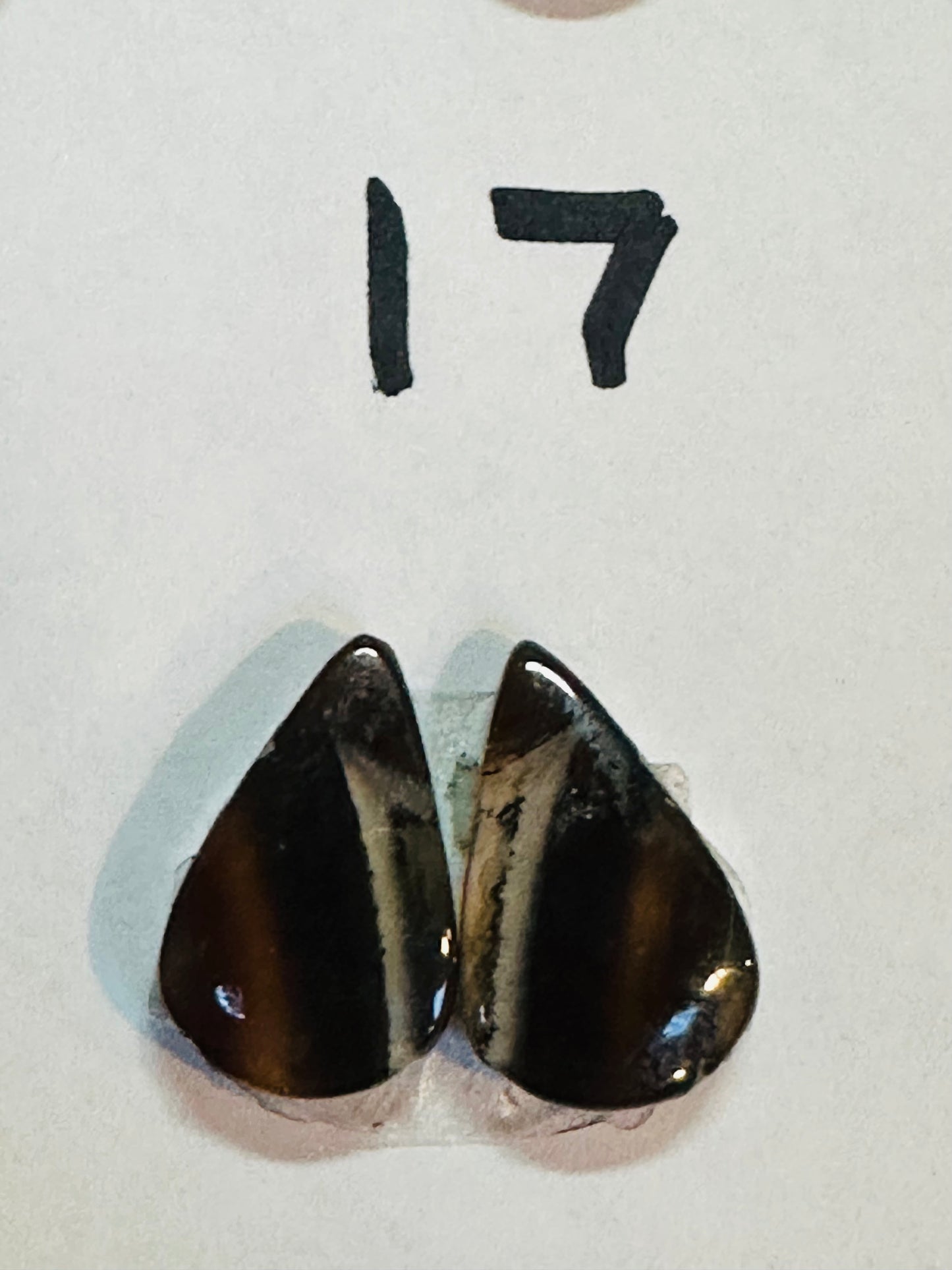 Yellowstone River Agate Earrings, Hand Made to Order, sterling silver