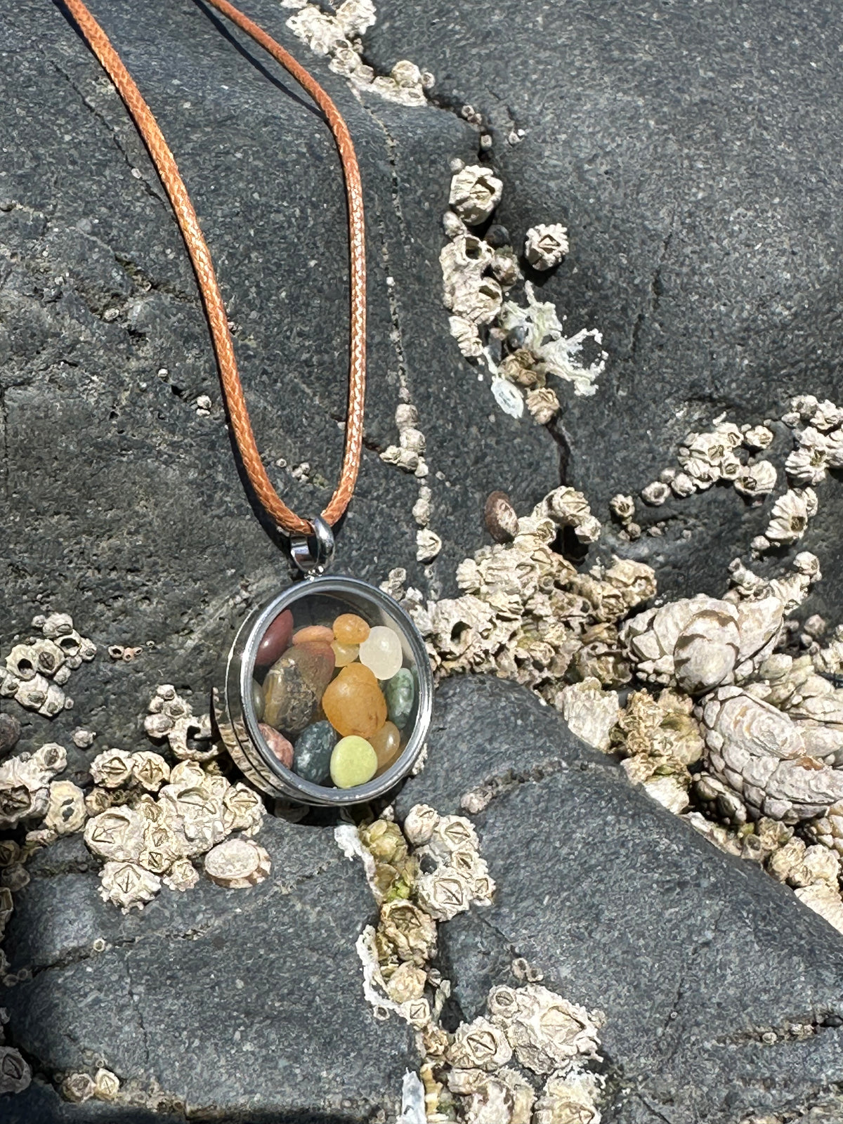 Shoreline Keepsakes NorCal Assorted Beach Rocks