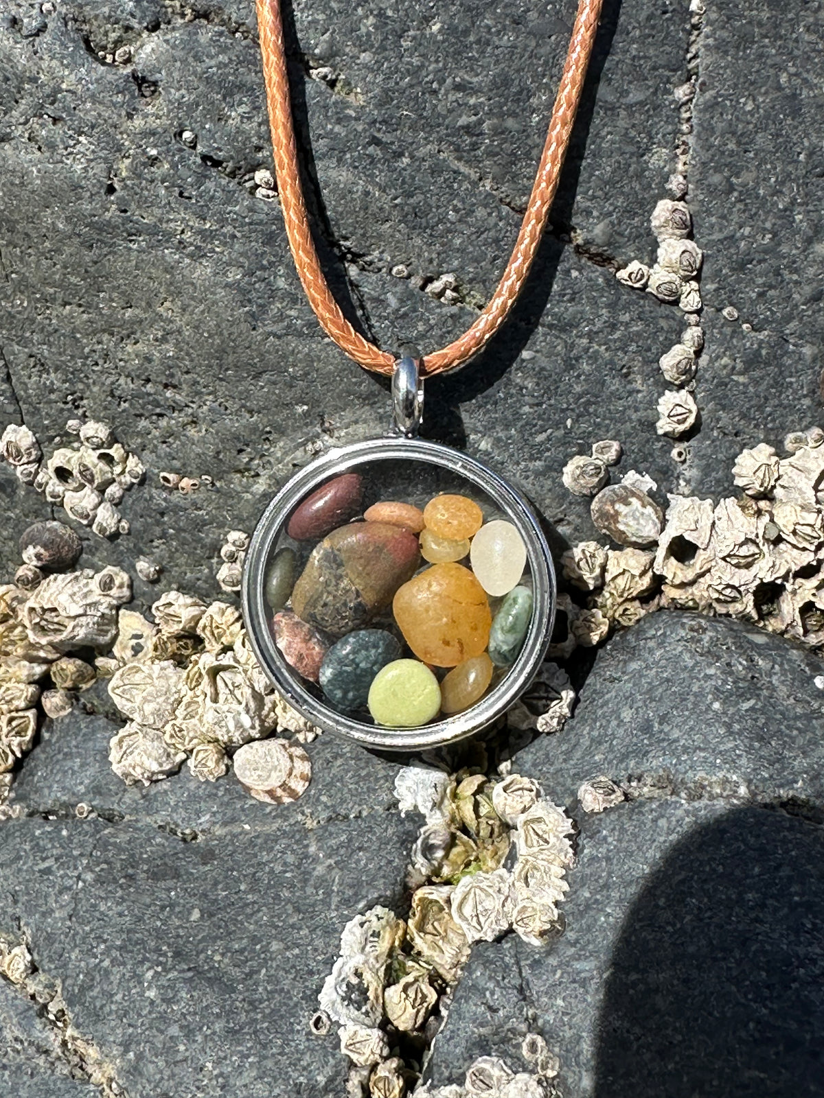 Shoreline Keepsakes NorCal Assorted Beach Rocks