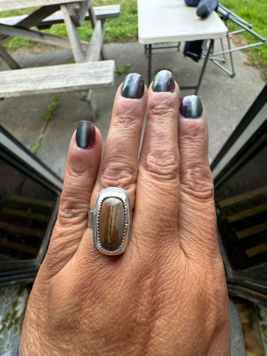 Yellowstone River Petrified Wood cabochon ring , size 6.5, hand made, sterling silver