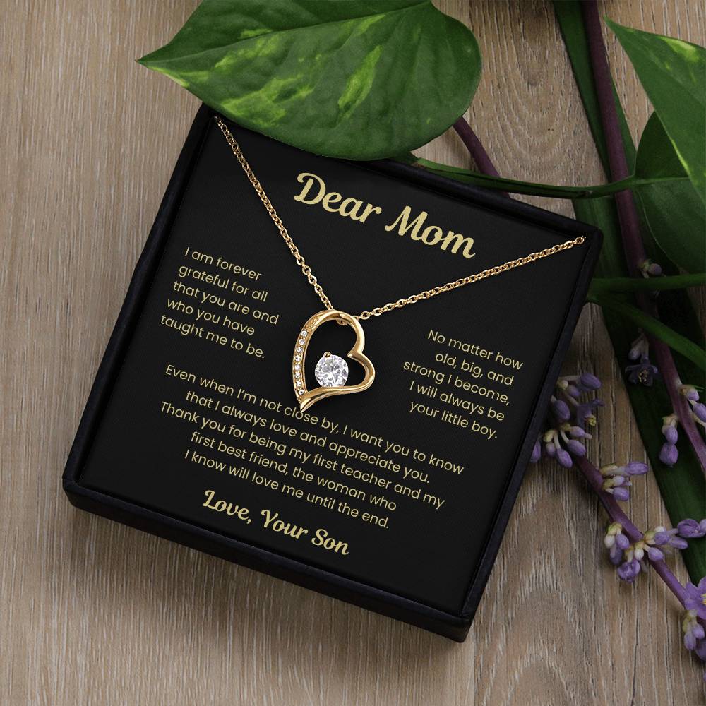 To My Loving Mom, from Son | Forever Love Necklace | BG